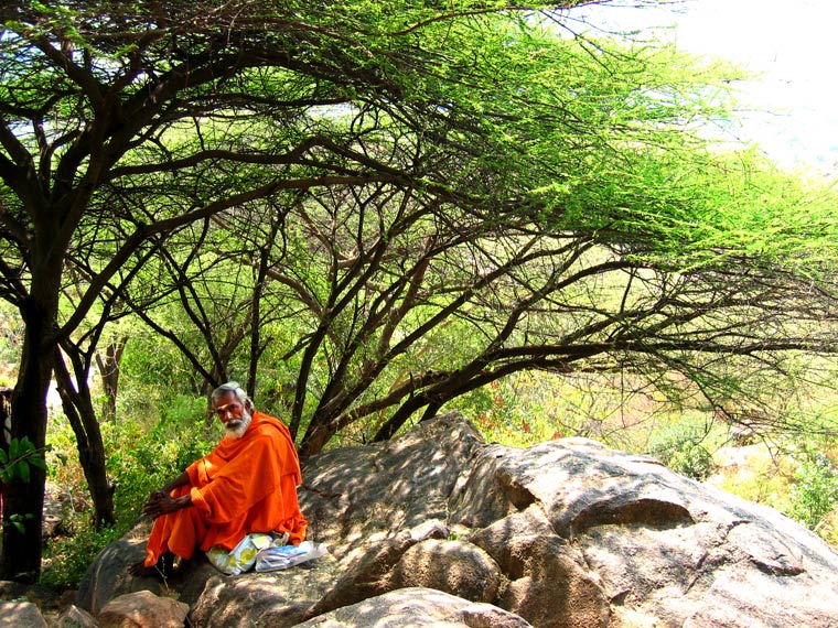 Sadu in Arunachala, the Sacred Shiva Mountain - Tiruvannamalai, India Tiruvannamalai, India