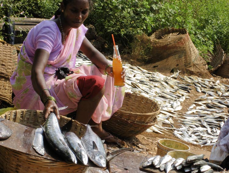 Fish Market Seller - Puttaparthy, India