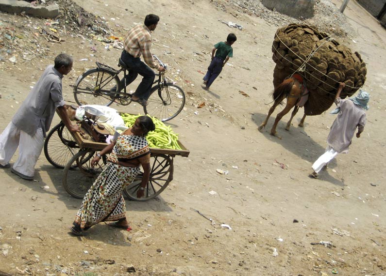 Vegetable and 'Pizza' Manure Sellers - Kolkata, India
