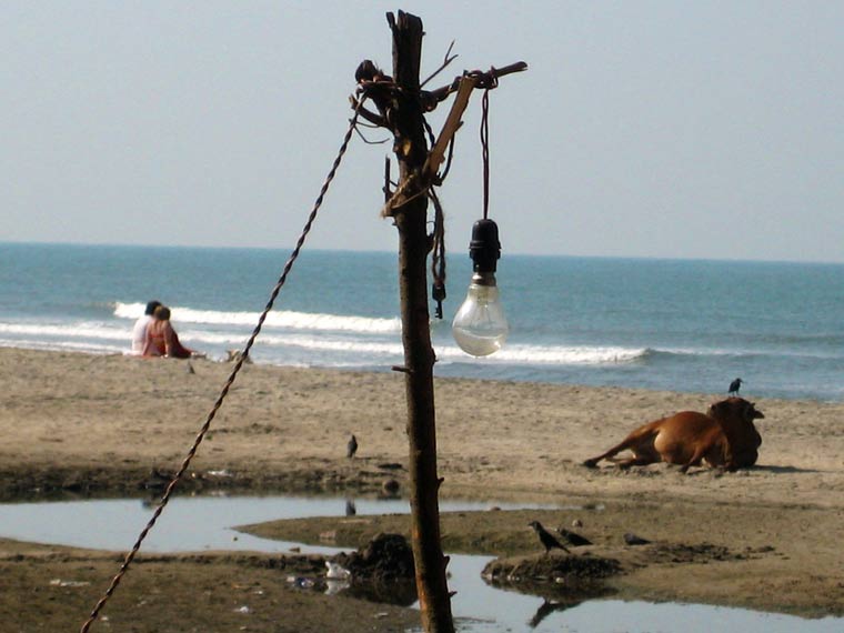 ‘Holy Cow’ Light Bulb - Goa, India